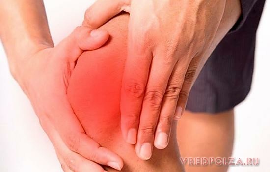 Сабельник: полезные свойства и противопоказания к применению для суставов Сабельник: полезные свойства и противопоказания к применению для суставов