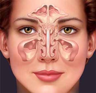 Септопластика носовой перегородки Септопластика носовой перегородки