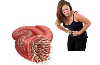 Определение заражения - как выглядят человеческие глисты? Определение заражения - как выглядят человеческие глисты?