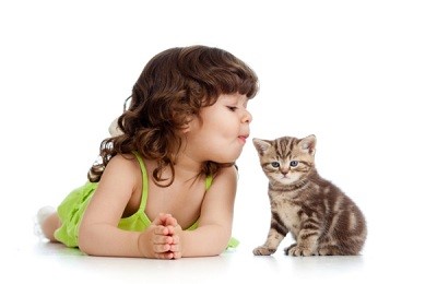 Определение заражения - как выглядят человеческие глисты? Определение заражения - как выглядят человеческие глисты?