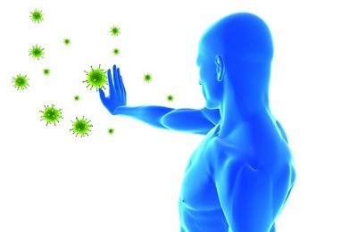 Определение заражения - как выглядят человеческие глисты? Определение заражения - как выглядят человеческие глисты?