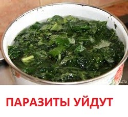 Слабительное в домашних условиях быстрого действия. Дешево и сердито? Слабительное в домашних условиях быстрого действия. Дешево и сердито?