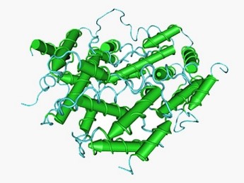 Противовирусные препараты Противовирусные препараты