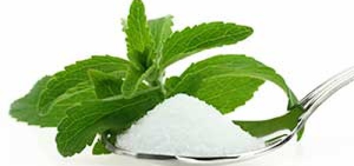 Стевия в качестве сахарозаменителя Стевия в качестве сахарозаменителя