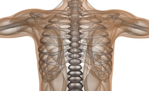 Симптомы трещины ребра и необходимое лечение Симптомы трещины ребра и необходимое лечение