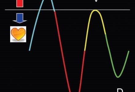 Что нужно знать об УЗИ почек и надпочечников? Что нужно знать об УЗИ почек и надпочечников?