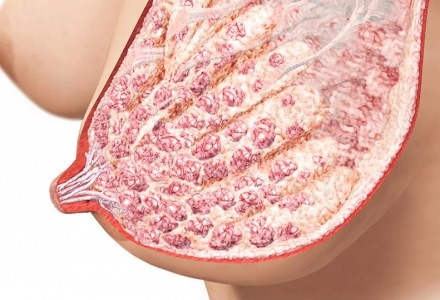 Что нужно знать об УЗИ почек и надпочечников? Что нужно знать об УЗИ почек и надпочечников?