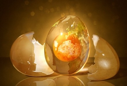 Что нужно знать об УЗИ почек и надпочечников? Что нужно знать об УЗИ почек и надпочечников?