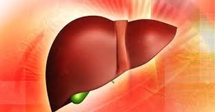 Кто такой врач-гепатолог и что он лечит Кто такой врач-гепатолог и что он лечит