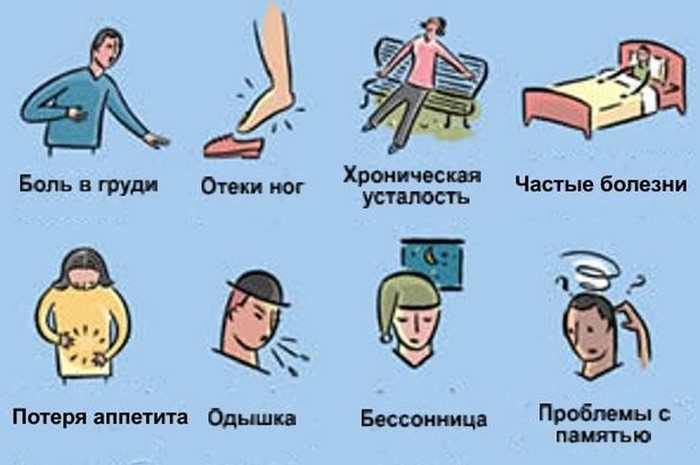 Причины возникновения вегето-сосудистой дистонии Причины возникновения вегето-сосудистой дистонии