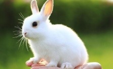 Что делать при запоре у ребенка 2 года: на каком лечении остановиться Что делать при запоре у ребенка 2 года: на каком лечении остановиться