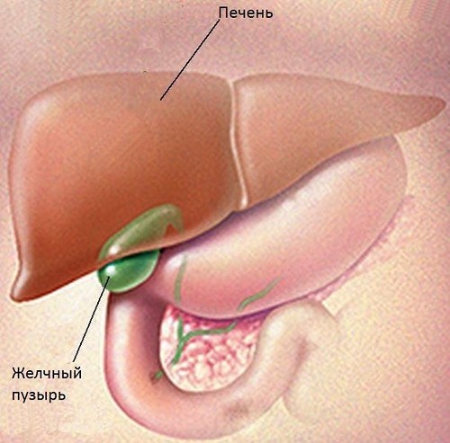 Симптомы холестаза - застоя желчи в желчном пузыре Симптомы холестаза - застоя желчи в желчном пузыре