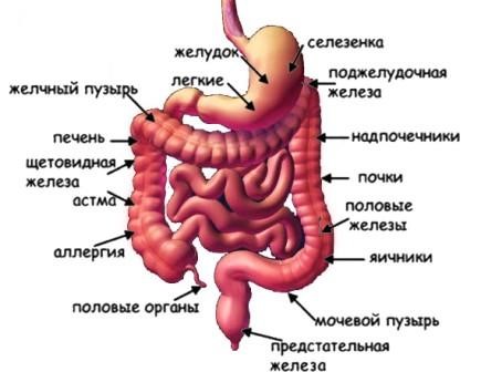Жидкий запор Жидкий запор